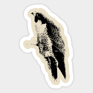 Hawk Sticker